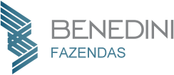 Benedini Fazendas